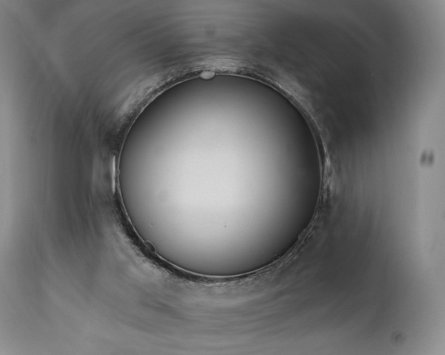 X0000111040013200906251412