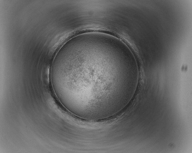 X0000111040014200906251412