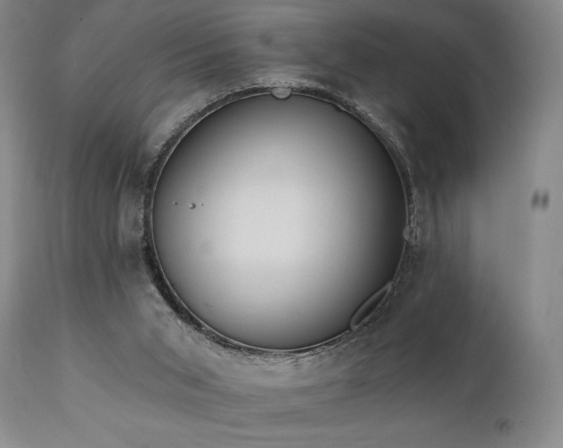 X0000111040015200906251412