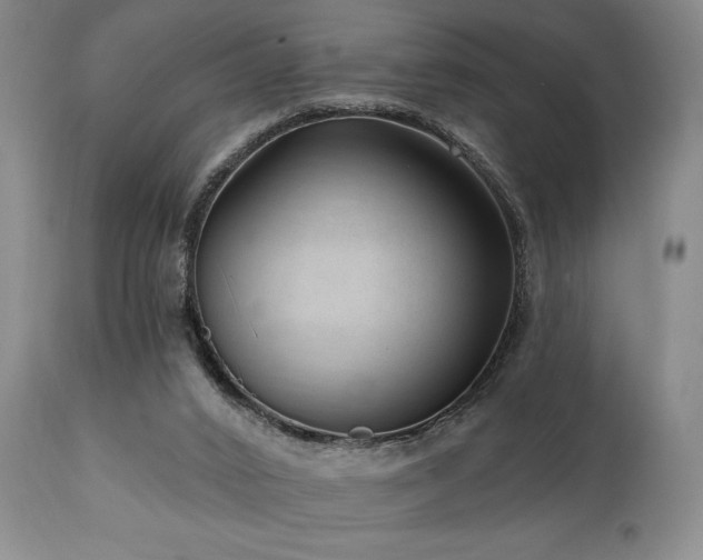 X0000111040016200906251412