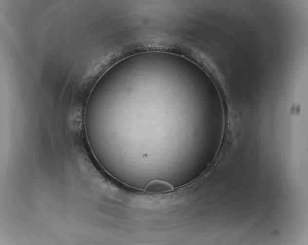 X0000111040017200906251412