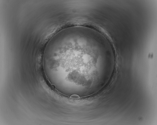X0000111040018200906251412