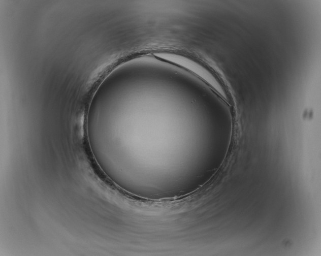 X0000111040019200906251412