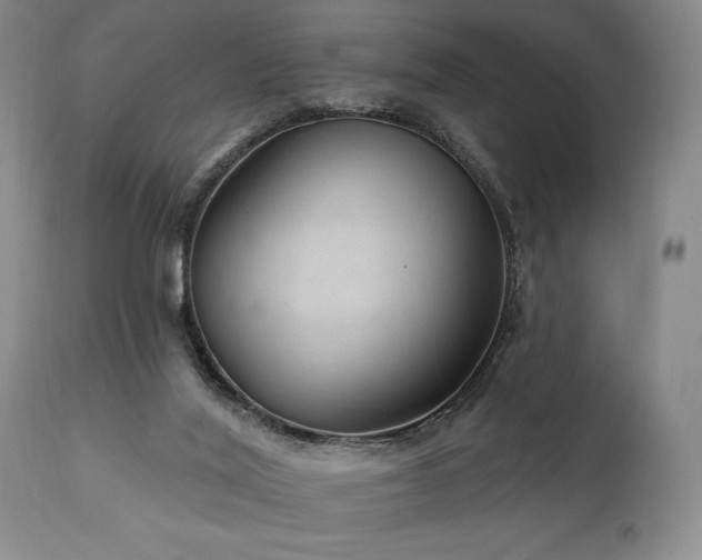 X0000111040020200906251412