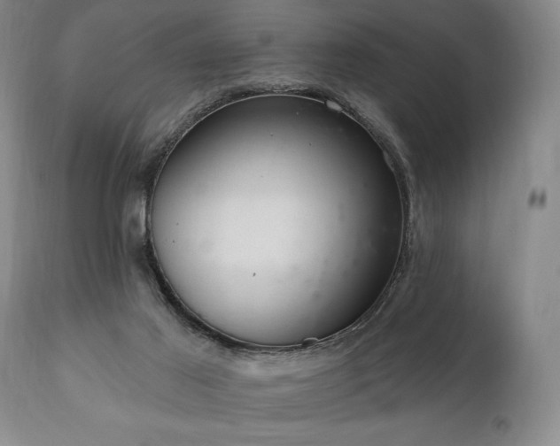 X0000111040021200906251412