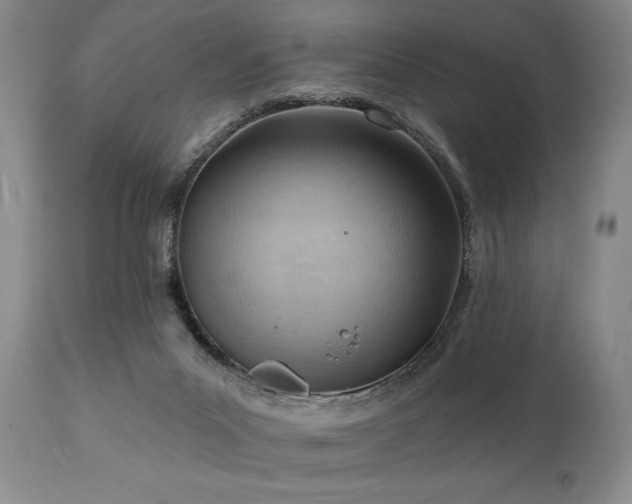 X0000111040023200906251412