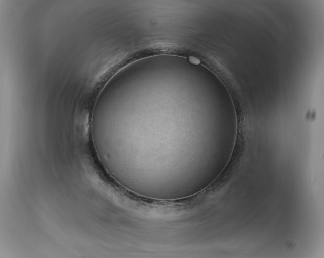 X0000111040024200906251412