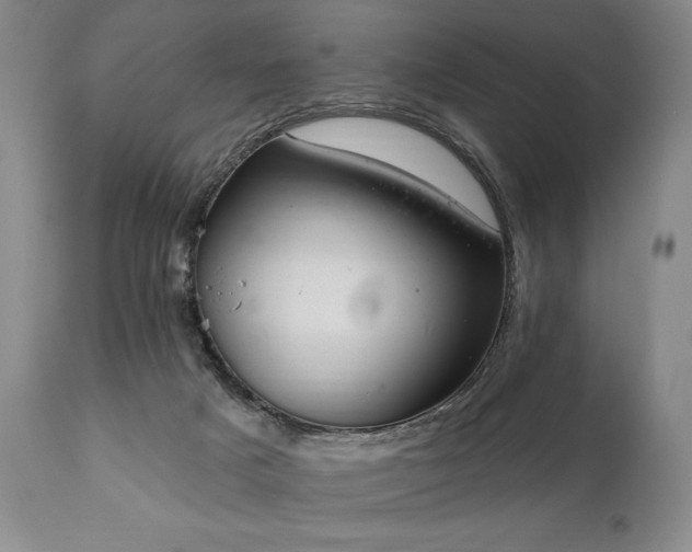 X0000111040025200906251412
