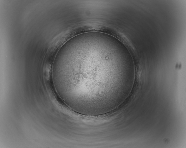 X0000111040026200906251412