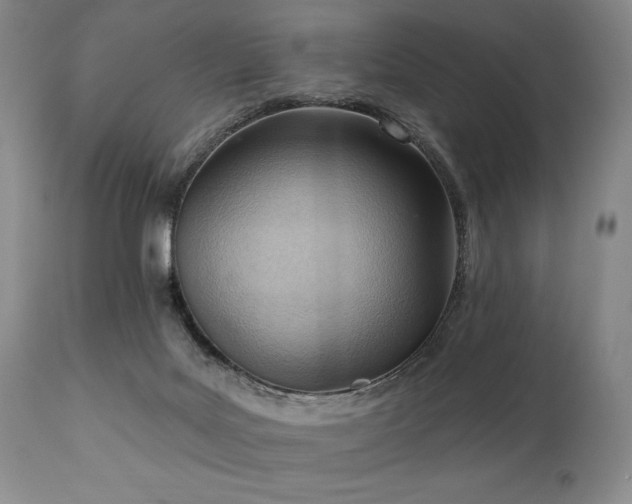 X0000111040027200906251412