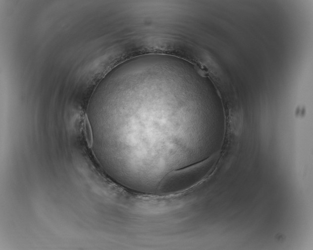 X0000111040029200906251412