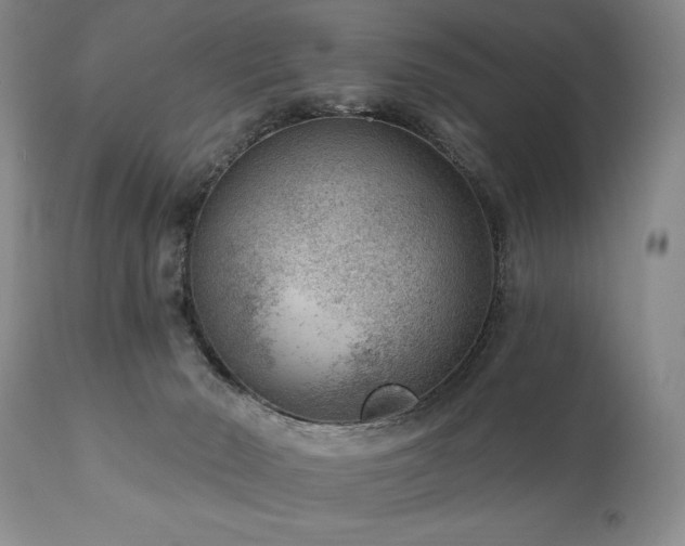 X0000111040030200906251412