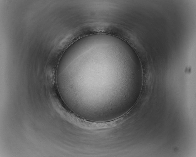 X0000111040031200906251412