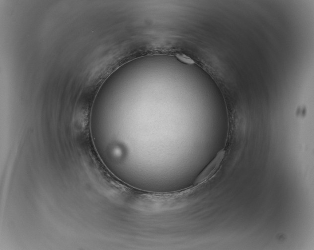 X0000111040033200906251412