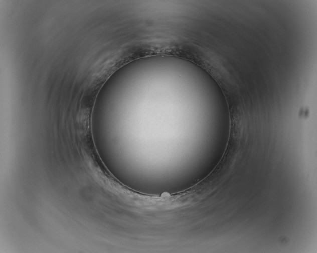 X0000111040034200906251412
