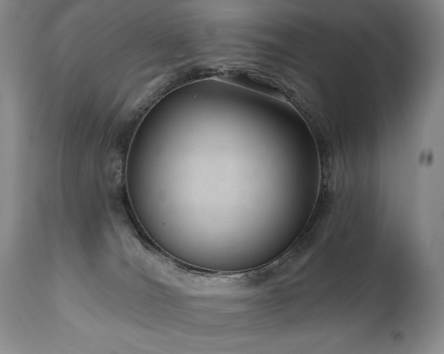 X0000111040036200906251412