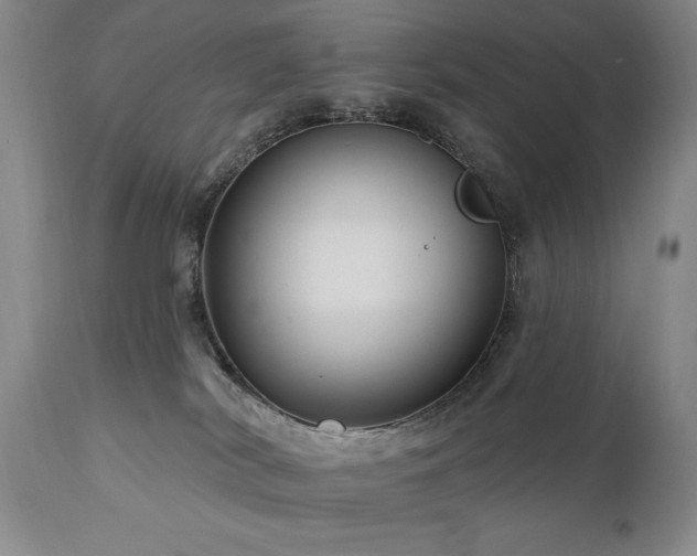 X0000111040038200906251412