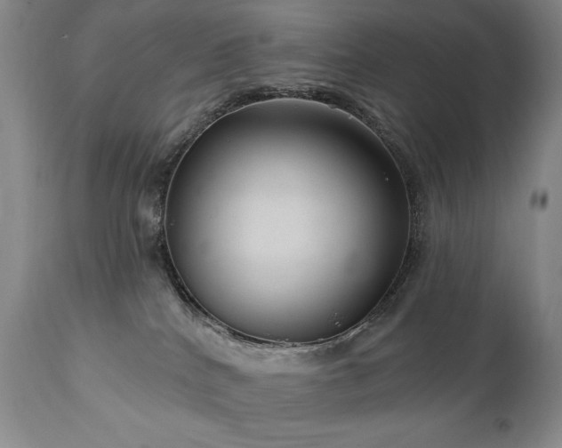 X0000111040040200906251412