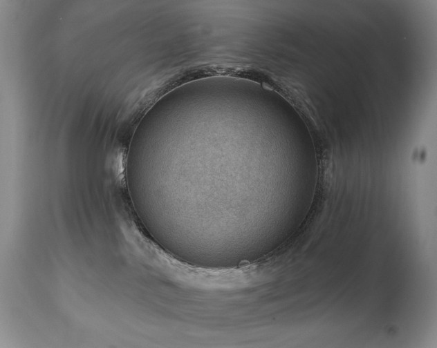 X0000111040042200906251412