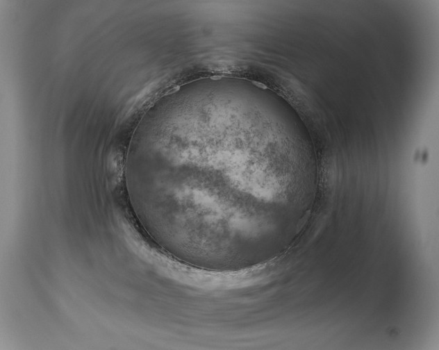 X0000111040043200906251412