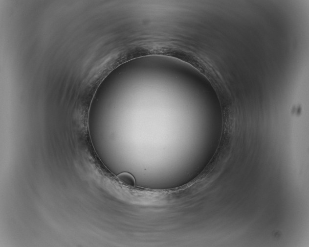 X0000111040044200906251412