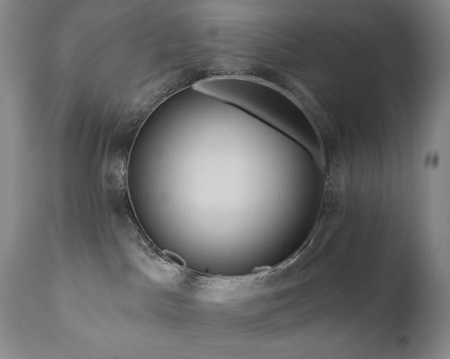 X0000111040045200906251412
