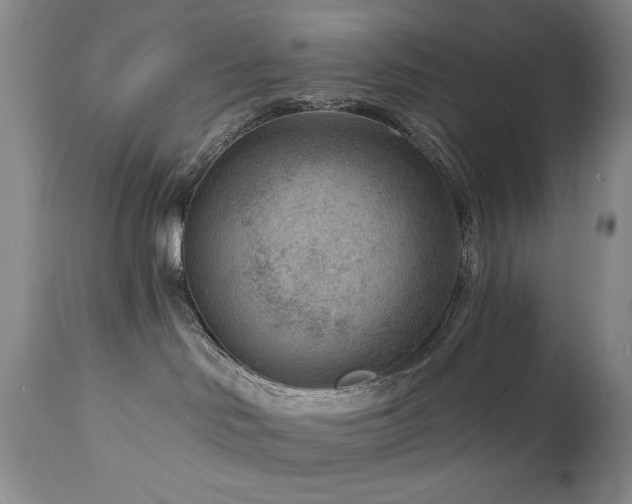 X0000111040046200906251412