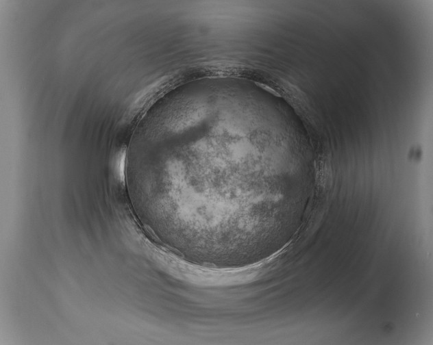 X0000111040047200906251412