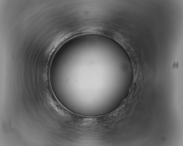 X0000111040050200906251411