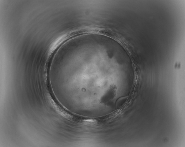 X0000111040053200906251411
