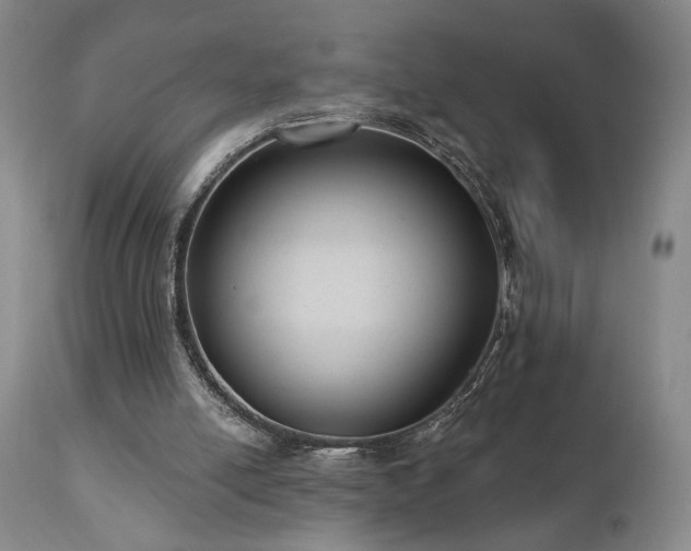 X0000111040054200906251411