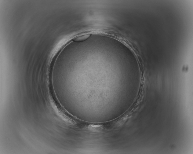 X0000111040055200906251411