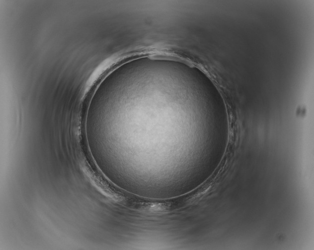 X0000111040056200906251411