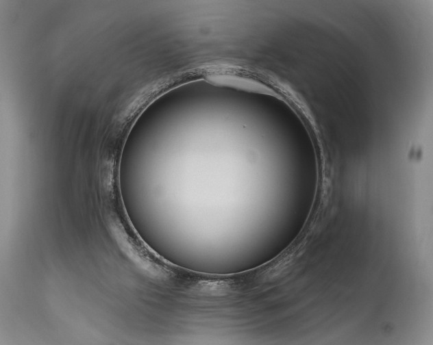 X0000111040057200906251411