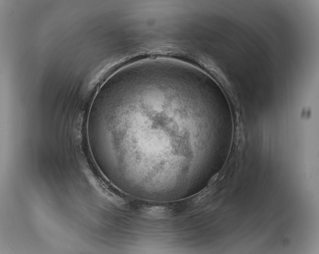 X0000111040058200906251411