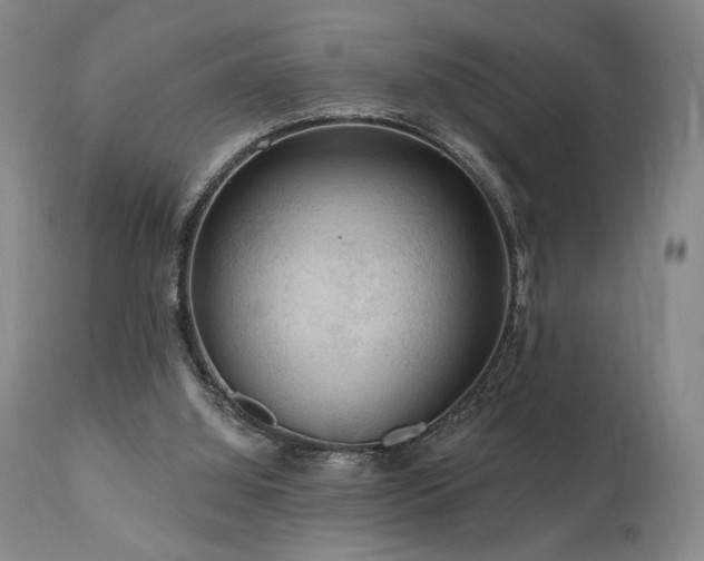 X0000111040060200906251411