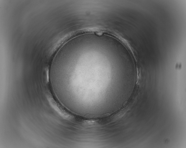 X0000111040061200906251411