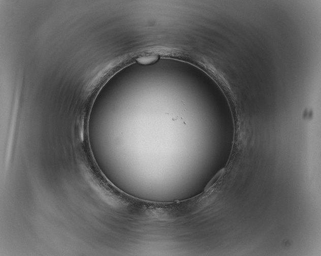 X0000111040062200906251411