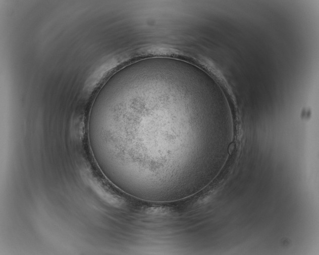 X0000111040063200906251411