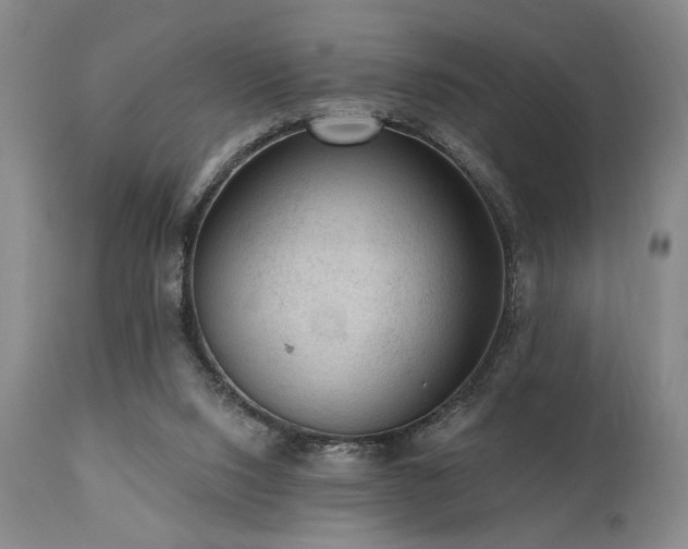 X0000111040064200906251411