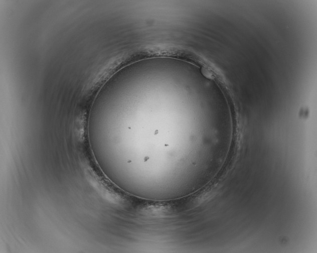 X0000111040065200906251411