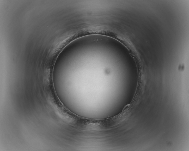 X0000111040066200906251411