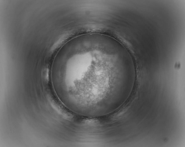 X0000111040067200906251411