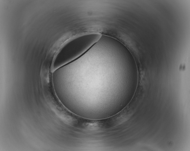 X0000111040068200906251411