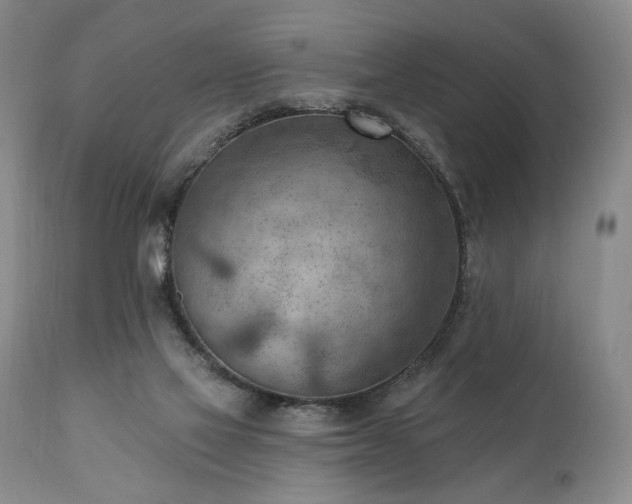 X0000111040069200906251411