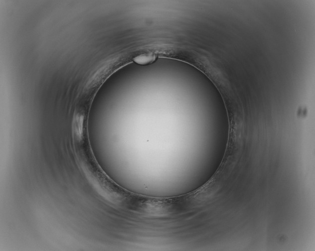 X0000111040070200906251411