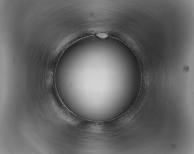 X0000111040071200906251412