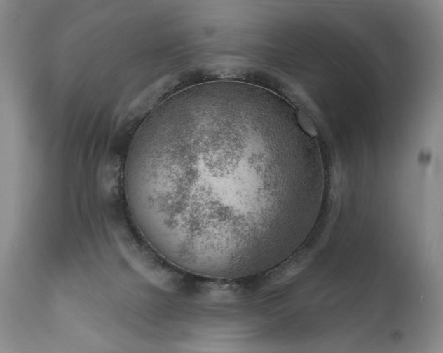 X0000111040073200906251412