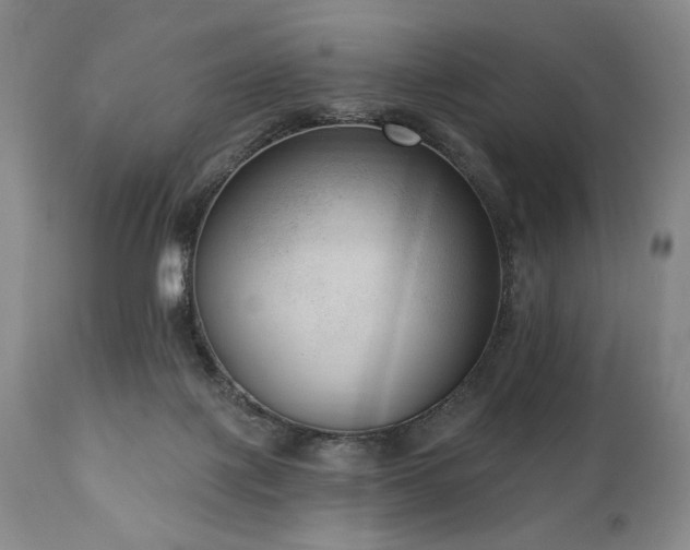 X0000111040075200906251412