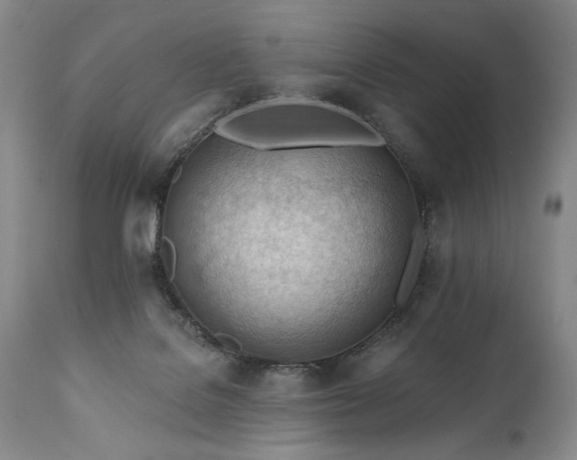 X0000111040076200906251412